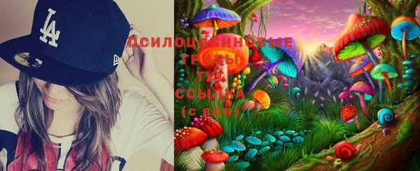 мет Алексин