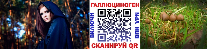 Галлюциногенные грибы мухоморы  Амурск 