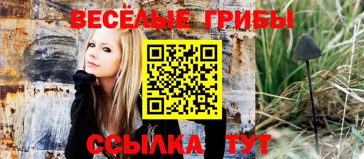 Псилоцибиновые грибы MAGIC MUSHROOMS  Вход с VPN  Галлюциногенные грибы MAGIC MUSHROOMS  Амурск 