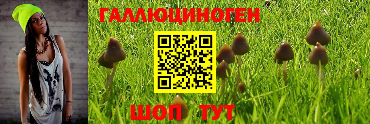 Галлюциногенные грибы Cubensis Амурск